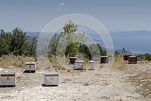 Small apiary in the mountains on a summer day Greece, Pelio