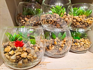 Small aquariums with pebbles and seaweed as a decoration in the house