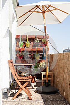 Small area of urban gardening in summer in the city