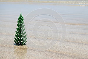 Small artificial Christmas tree on the white sand beach on the background of blue sky.