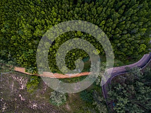 Small asphalt and dirt roads in dark green forest