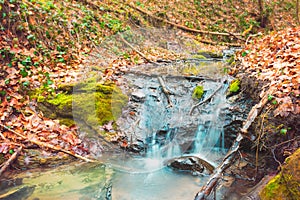 Small autumn stream in autumn. Water flowing over colorful moss and dry fallen leaves