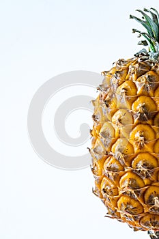Small Azorean pineapple in white background with copy space photo