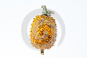 Small Azorean pineapple in white background photo