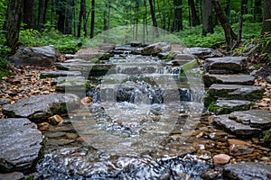 Small babbling brook flowing through the forest over smooth rocks with green moss.