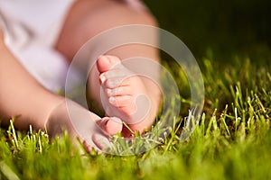 Small baby feet on the green grass at summer sunshiny day in the park.