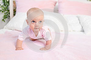 Small baby girl 6 months old crawling on a pink and white bed, looking away, place for text