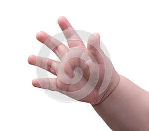 Small baby hand isolated