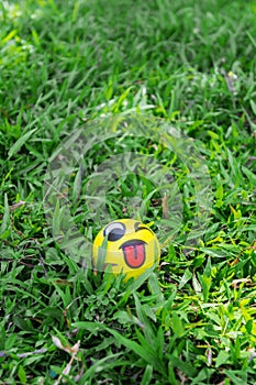 Small ball on green grass