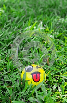 Small ball on green grass