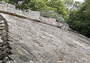 Small ballfield in the COBA Zona Arqueologica photo