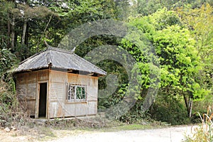Small bamboo house in forest, adobe rgb