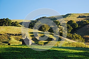 A small barn in a green landscape