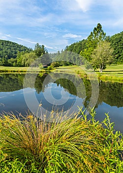 Small barn and trees frame summer pond