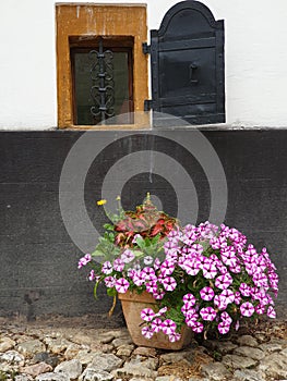 Small basement window, flowers in front, Rimetea