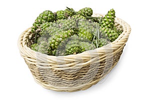 In a small basket fresh pine cones  on a white background to prepare al medicinal folk remedy