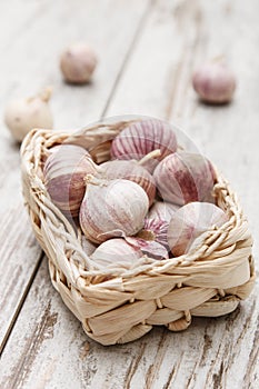 Small basket with garlic