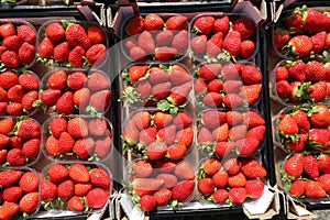 small basket of red ripe strawberries for sale in the greengroce