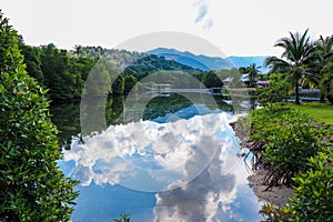 A Small Bay With trees around