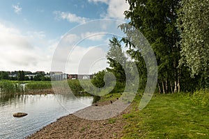 Small beach with mallards