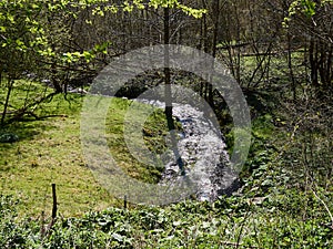 Small beautiful brook stream in a forest