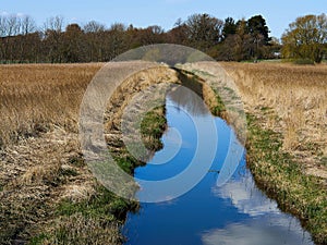 Small beautiful brook stream goes into the ocean