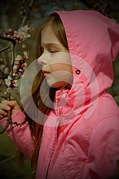 A small, beautiful girl in pink clothes walking in the Park near a flowering tree