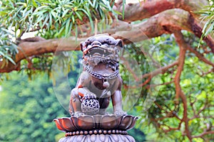 Small beautiful statue of mythical chinese lion guard on blurred pine tree background in Chi Lin Nunnery park,Hong Kong.