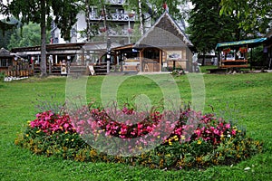 Small bed flower in the little park near Jezero Hotel in Ribcev Laz.