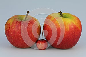 Small and big apples