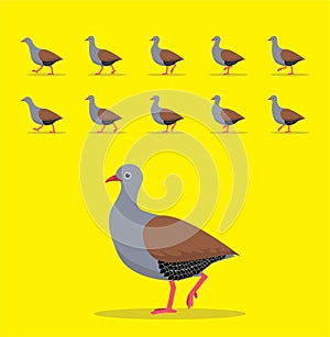 Small-Billed Tinamou Animal Animation Sequence Cartoon Vector photo
