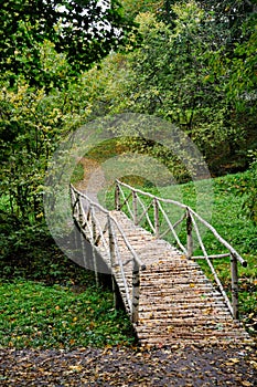 Small Birch Bridge on a Path - Yasnaya Polyana Estate