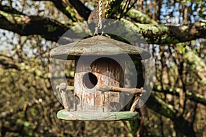 Small bird house in the garden