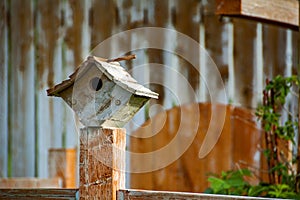 Small bird house resting on a fence post