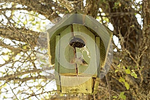 Small bird house on a tree