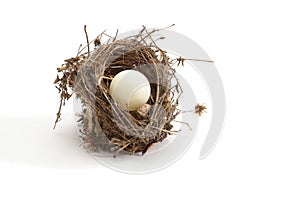 Small bird nest with ping-pong ball instead of egg