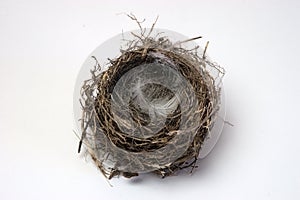 Small bird`s nest made of dry twigs
