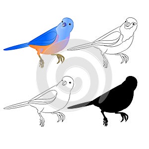 Small bird Thrush Bluebird outline nature and silhouette on a white background vintage vector illustration editable