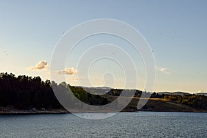 Small birds flying over Lake Jindabyne and surrounding mountains