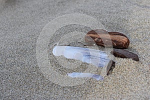 Small Bits of Driftwood in the Sand