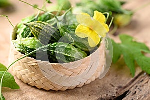 Small bitter gourd or bitter melon