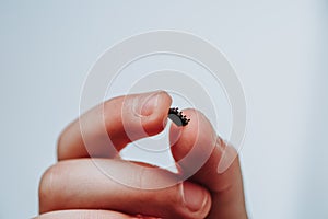 A small black chip holds a children`s hand