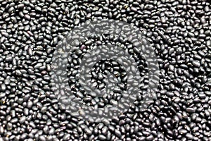 Small black faba beans called `negritos` o `alubia negra` background photo