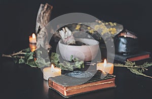 Small black Kyanite crystal rock placed on top of a vintage dark green colored book, among various nature items on witch`s table