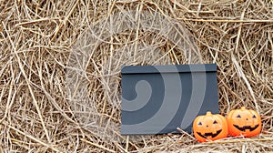 Small blackboard and artificial pumpkins on rice straws with copyspace