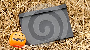 Small blackboard and artificial pumpkins on rice straws with copyspace