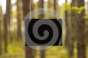 Small blackboard with place for text in the forest. Blurred trees on background