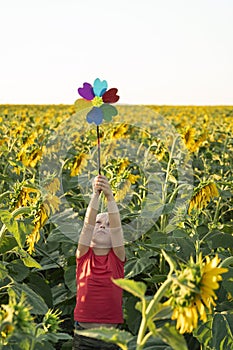 Small blond boy stands among field of sunflowers with windmill toy. Raised high above his head