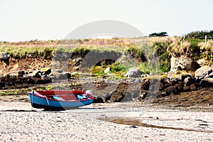 Small blue color fishing boat with red painted interior on a sandy beach at low tide. Food supply chain industry