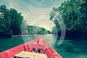 Boat in mangrove forest Rayong,Thailand